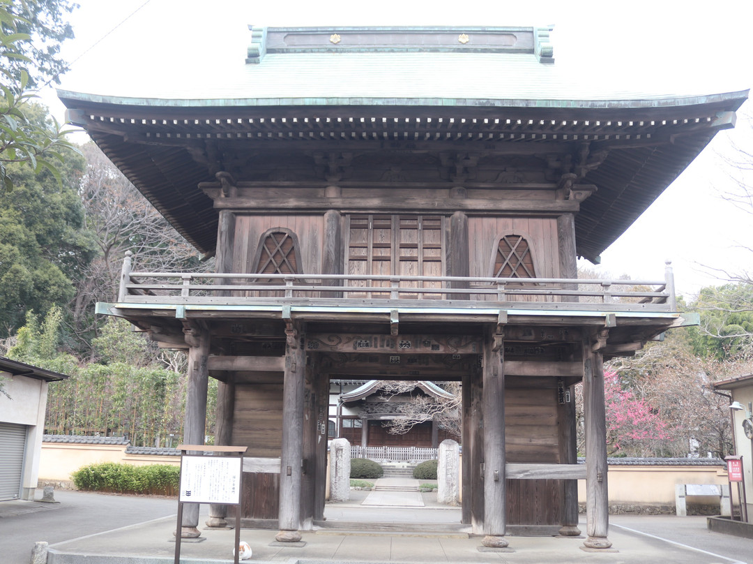 Musashi Kokubunji Temple-国分寺市必去景点