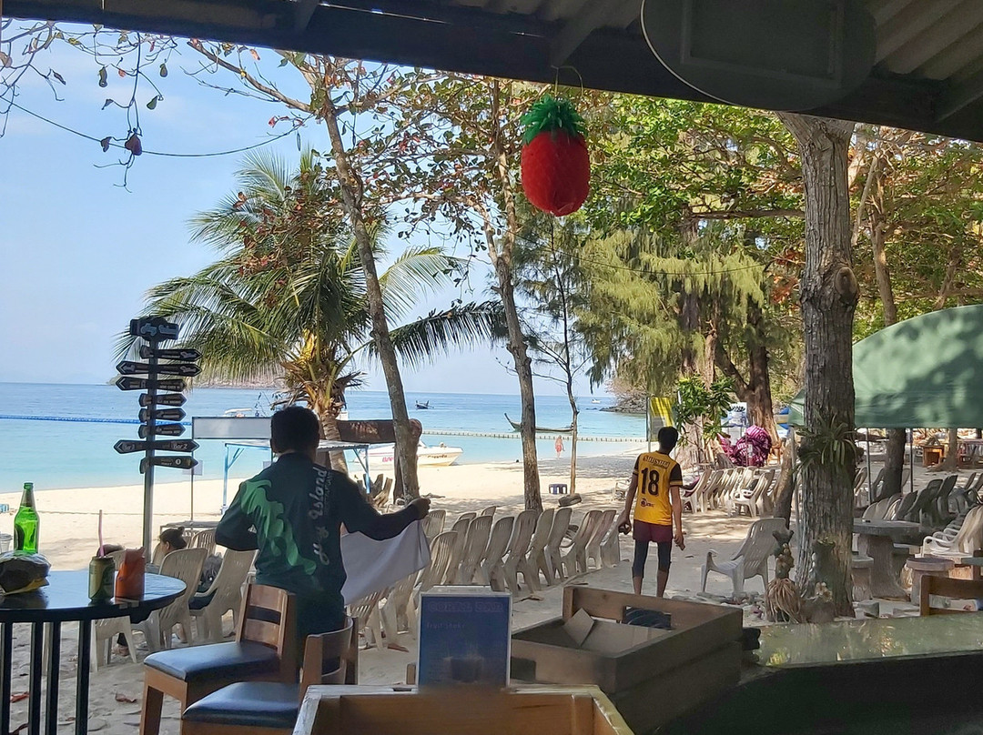 Bar 1 (Coral Bar)-珊瑚岛必去景点