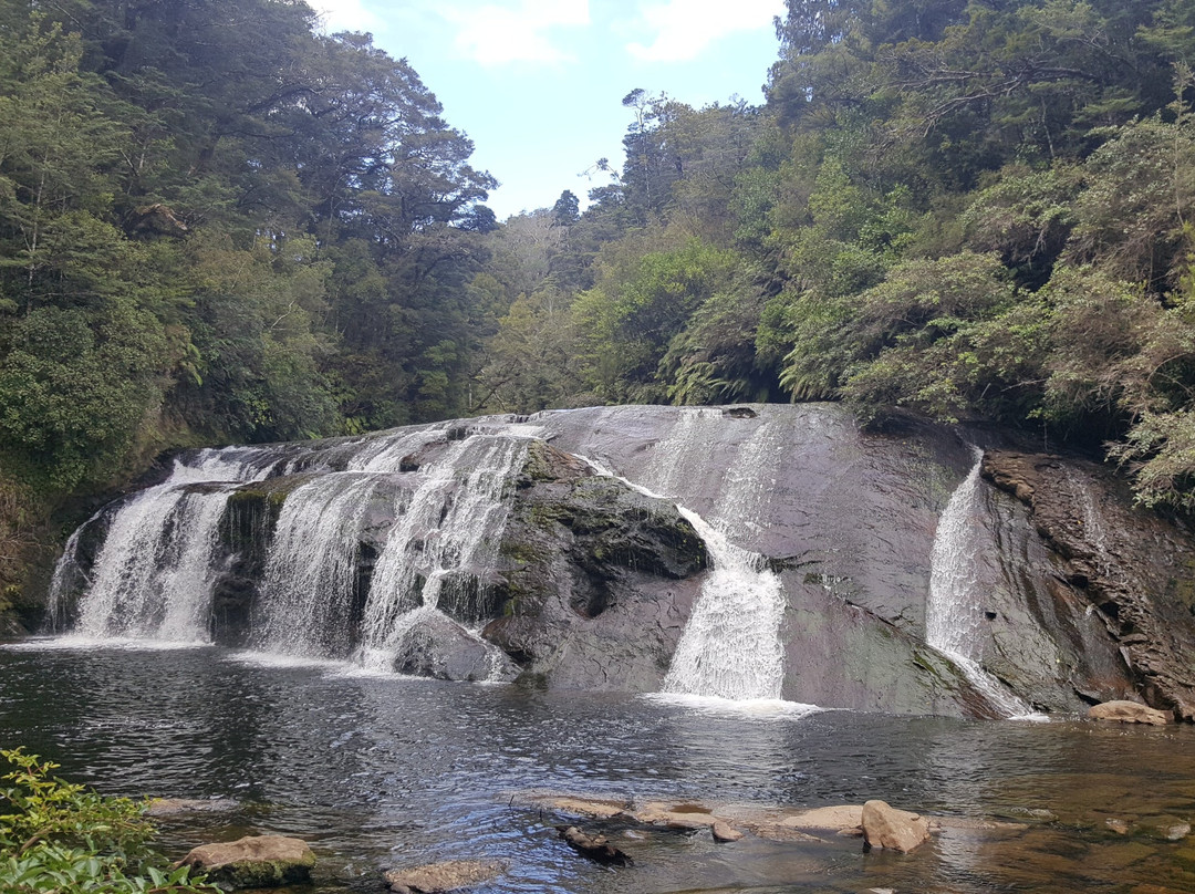 Coal Creek Track景点图片