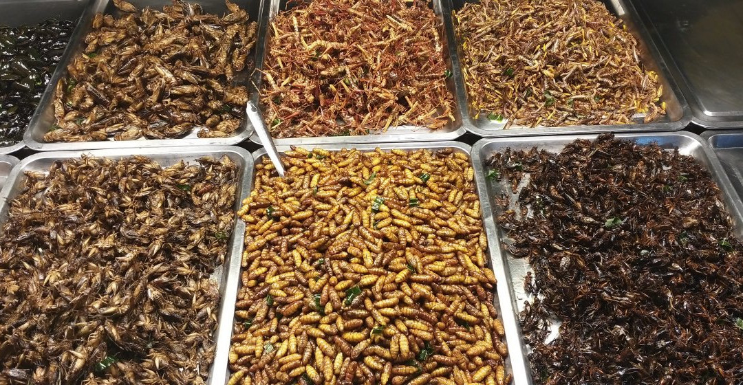 Surat Thani Shrine Market-素叻他尼必去景点