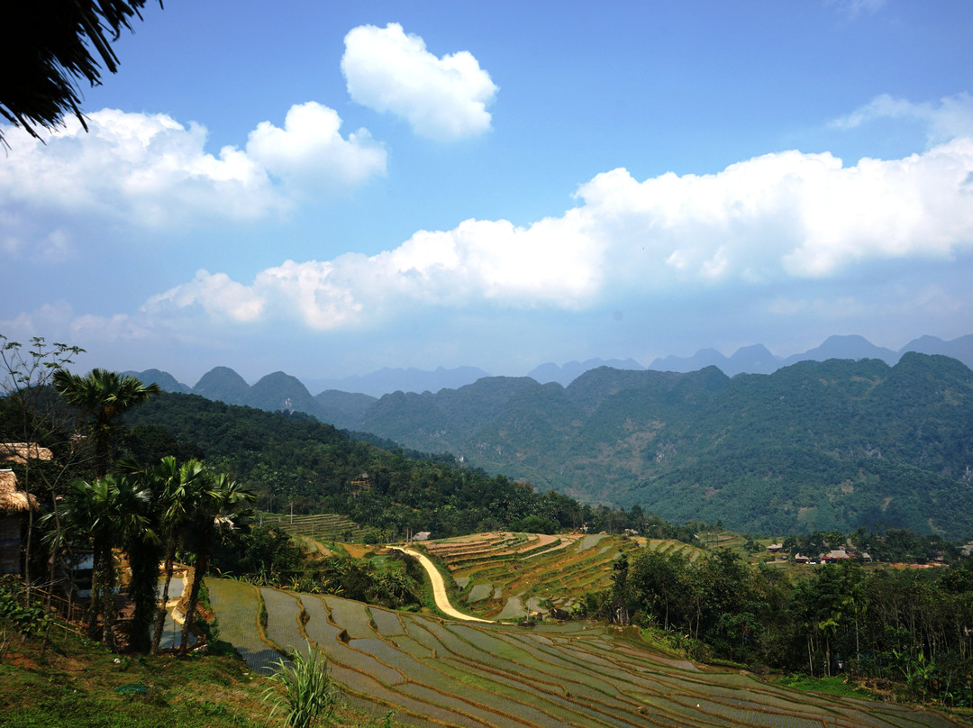 Panoramic Homestay