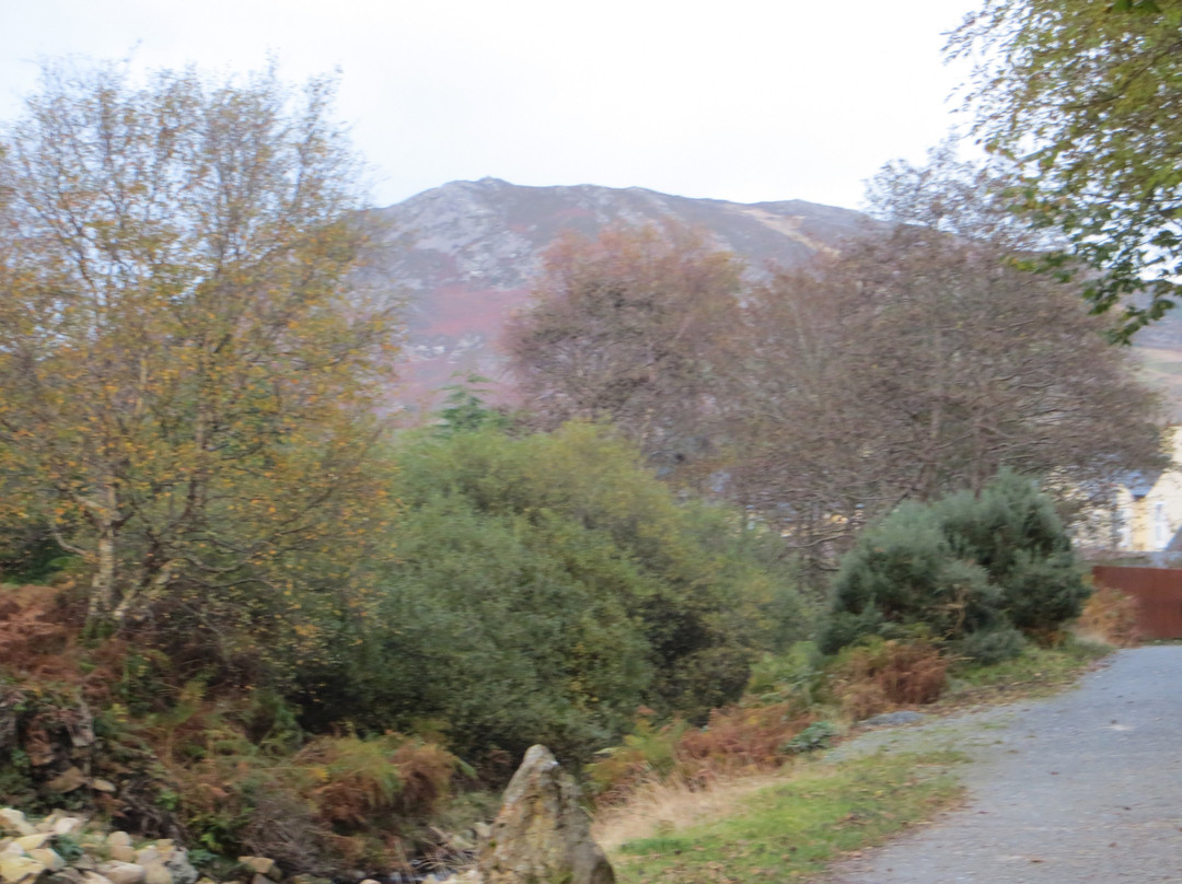 The Glen House主图