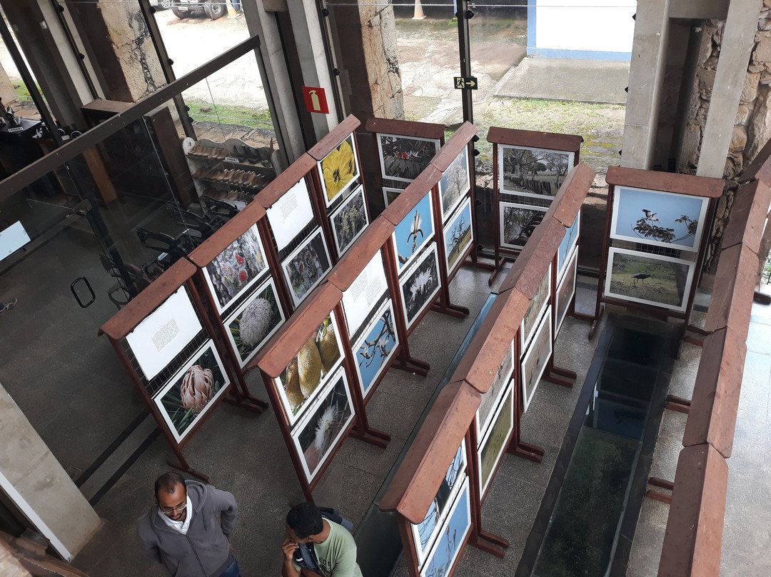 Museu do Colegio do Caraca-Catas Altas必去景点