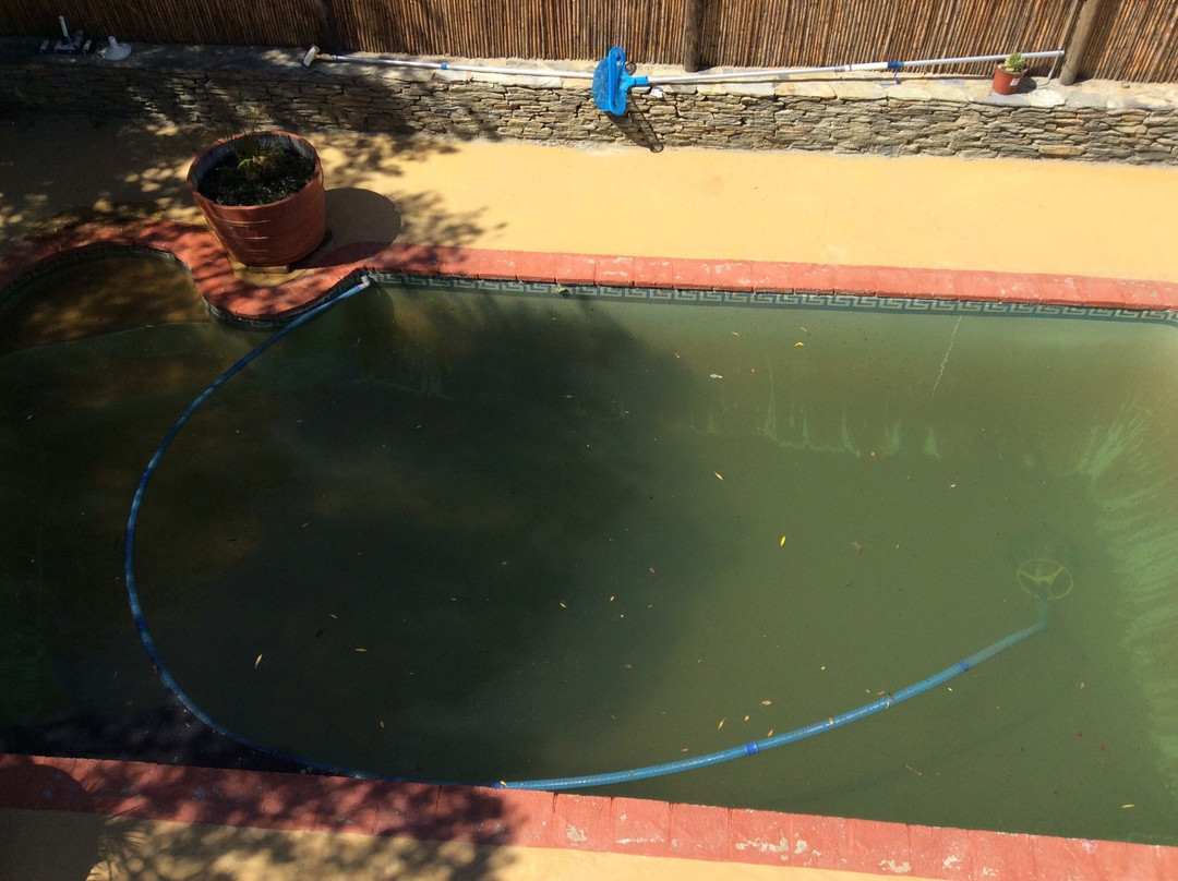 Barrydale Backpackers & Dung Beetle Bar主图