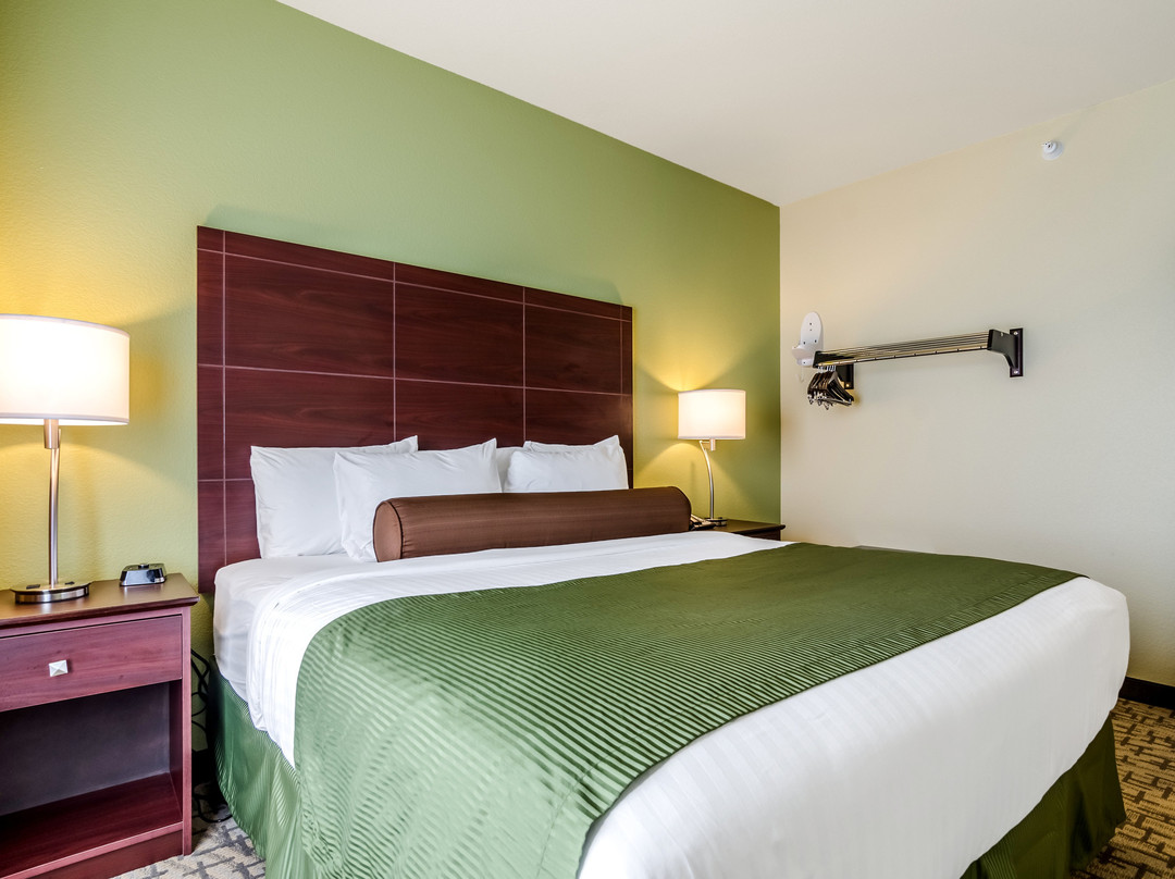 Cobblestone Inn & Suites - Altamont主图