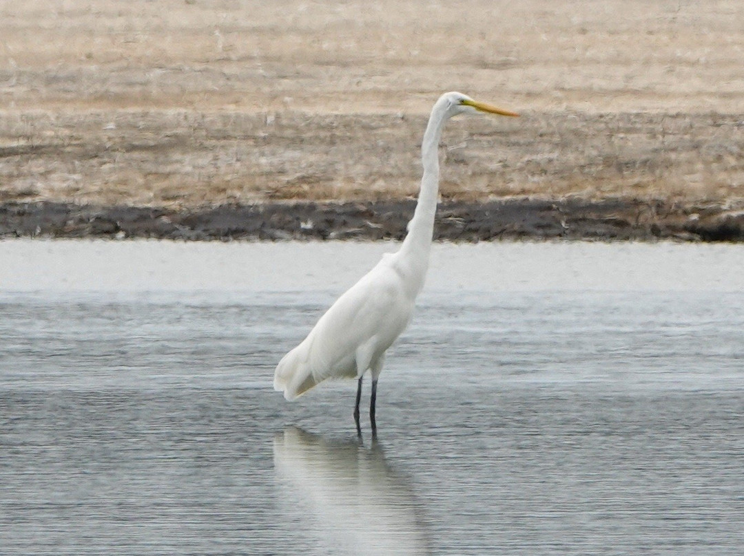El Yali National Reserve-Santo Domingo必去景点