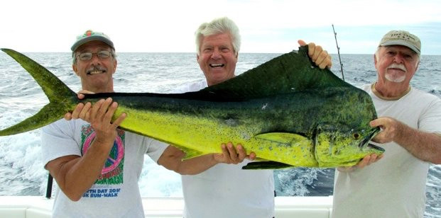 Sea Horse Private Charters