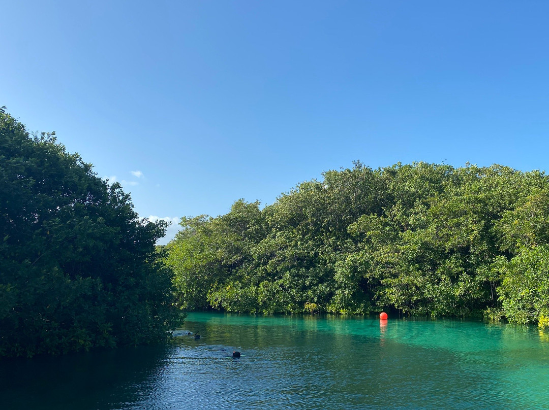 ProRec Dive Center-图伦必去景点