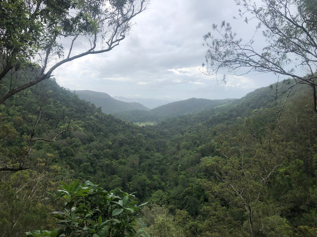 Kondalilla National Park景点图片