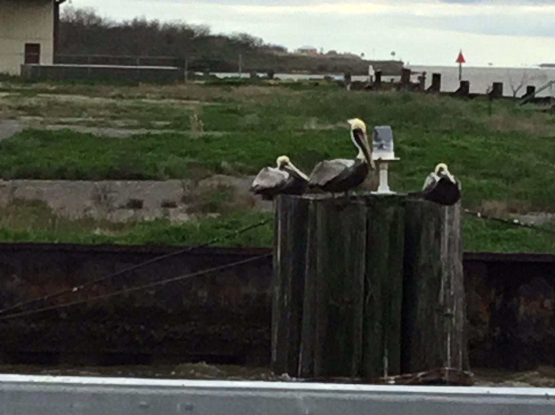 Cameron Ferry-Cameron必去景点