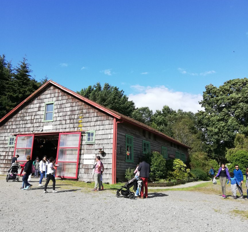 Fundo Playa Venado-巴拉斯港必去景点