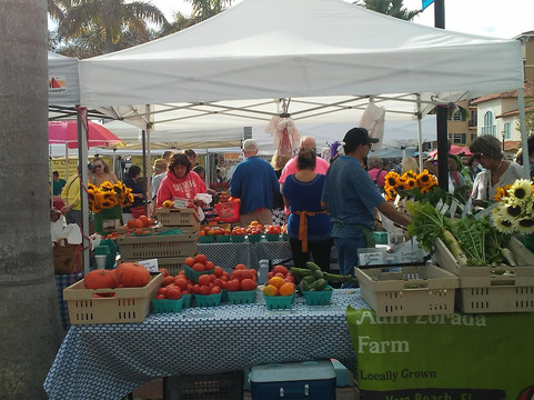 Downtown Fort Pierce Farmer's Market-匹尔斯堡必去景点
