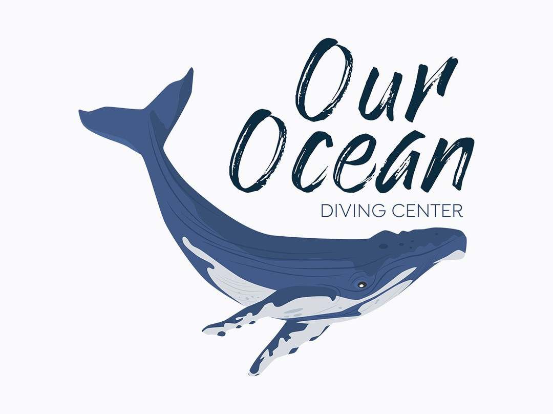Our Ocean Diving Center景点图片