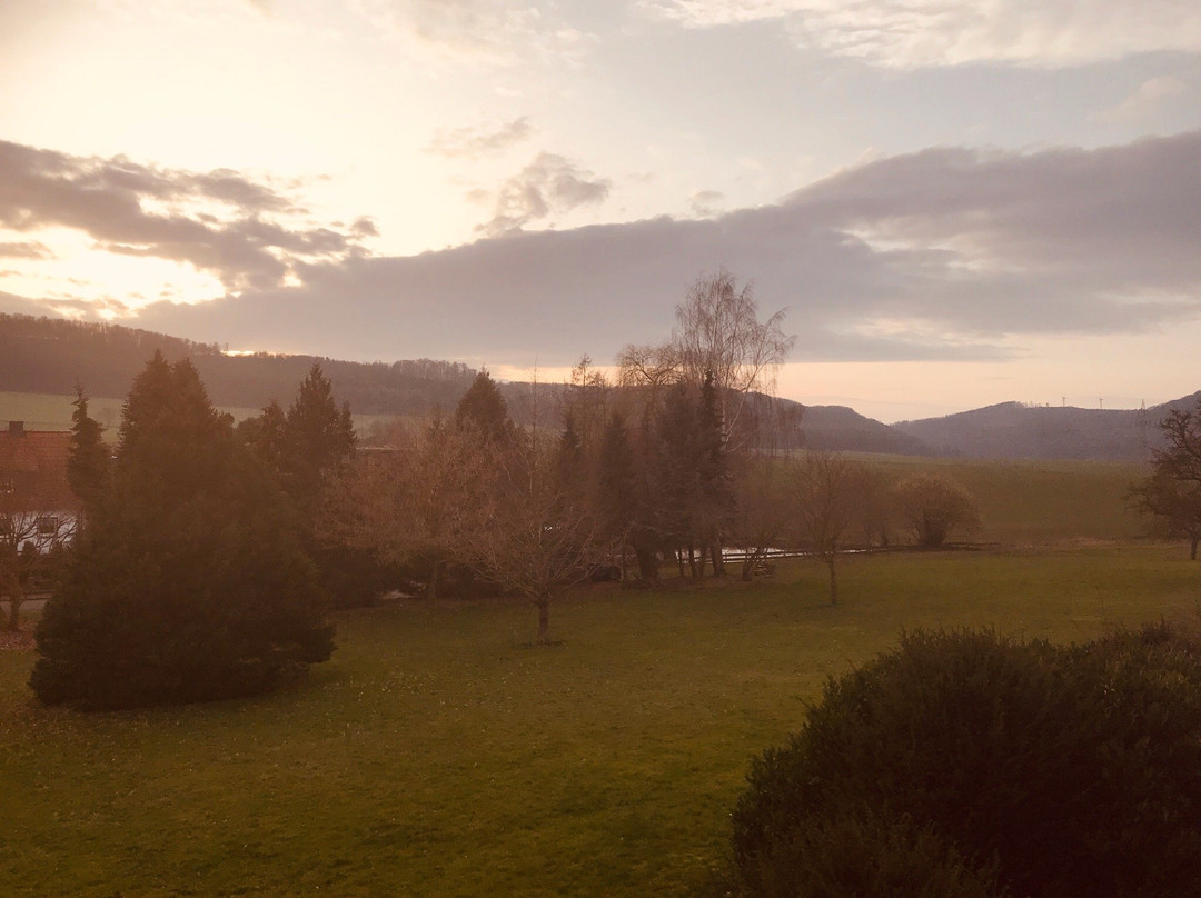 Hotel Gasthof Grüner Wald主图