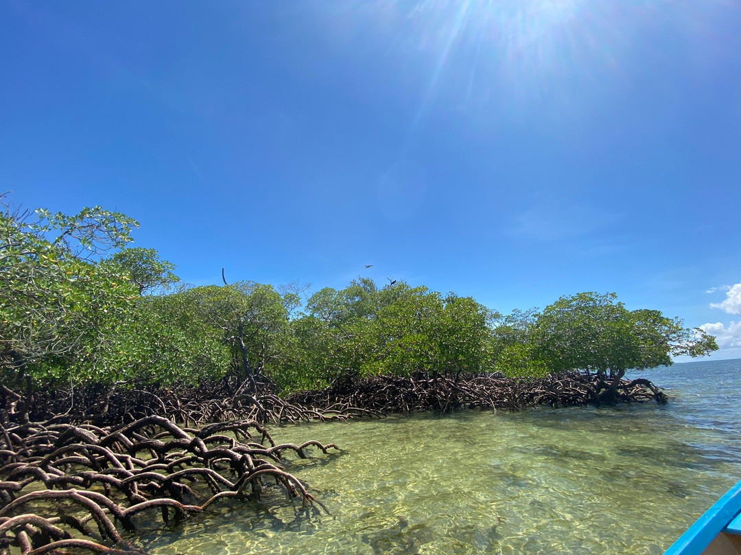 Pousada Porto Veleiro Garapua主图