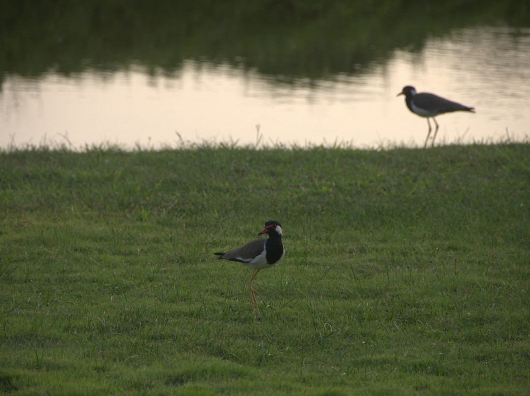 齐塔拉度假村主图