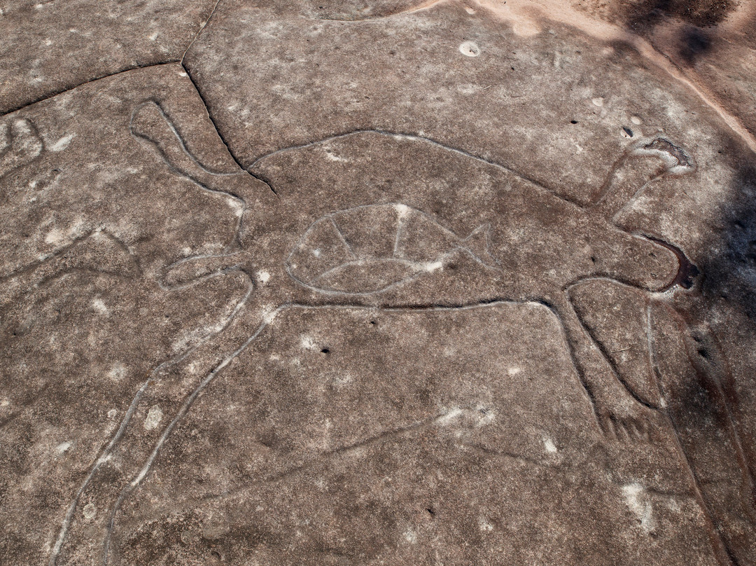 Ku-ring-gai Chase National Park-新南威尔士州必去景点