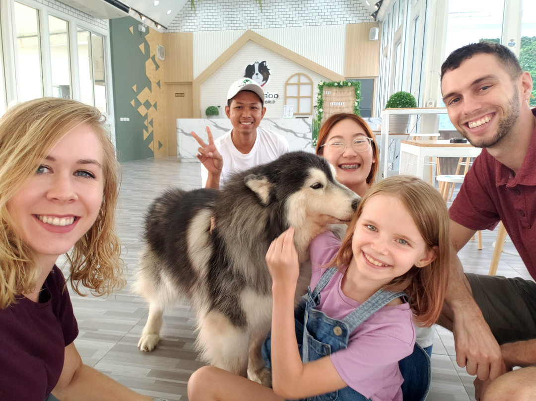 BlaBlaBoo - Premium Dog Cafe-挽巴茵必去景点