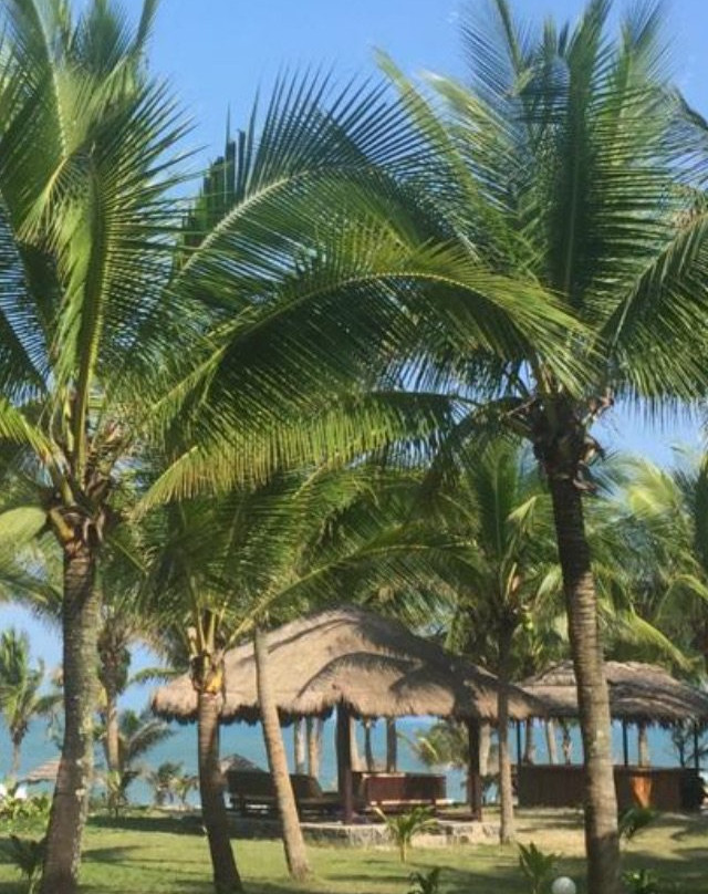 贝哈米海一度假村酒店主图