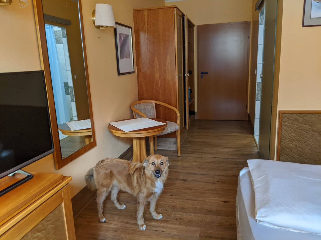 Hotel da Rosario主图