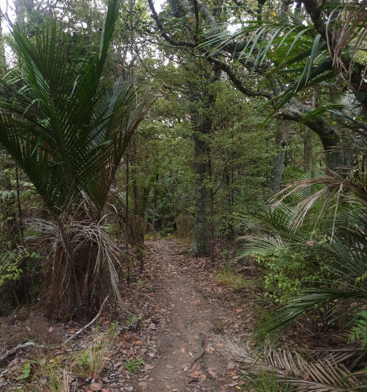 Mahurangi Regional Park-瓦卡沃夫必去景点