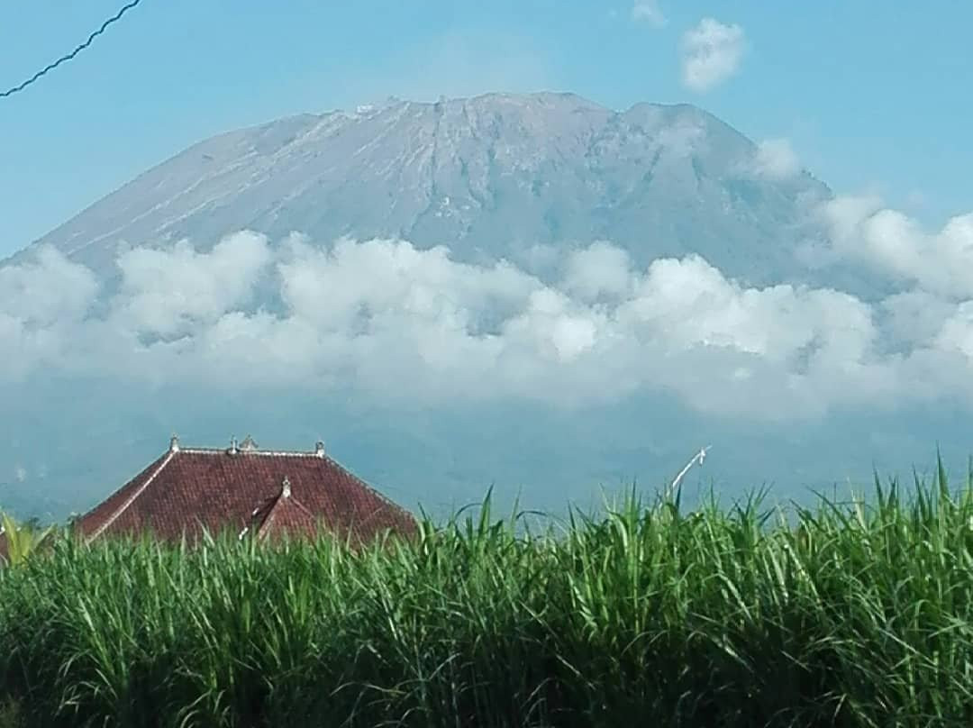 LinkeesHome Bungaya主图