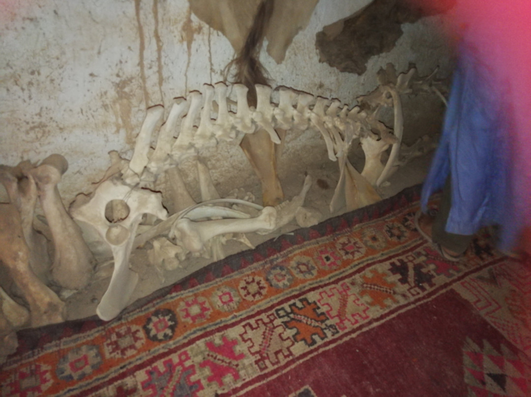 Casbah Caravanserail-Tighmert必去景点