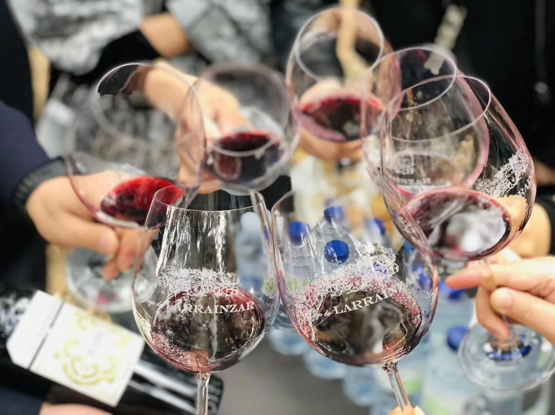 Bodegas Pago de Larrainzar-Ayegui必去景点