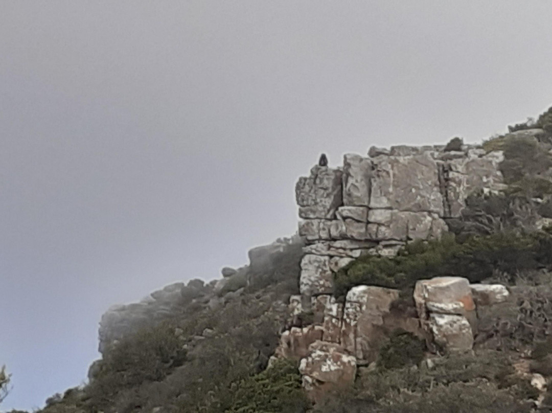 Xena Travel and Tours-开普敦中心区必去景点