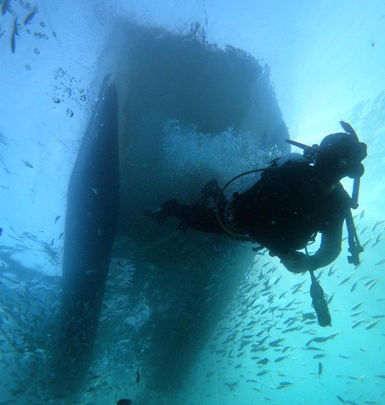 Let's Go Adventures Dive Nelson Bay景点图片