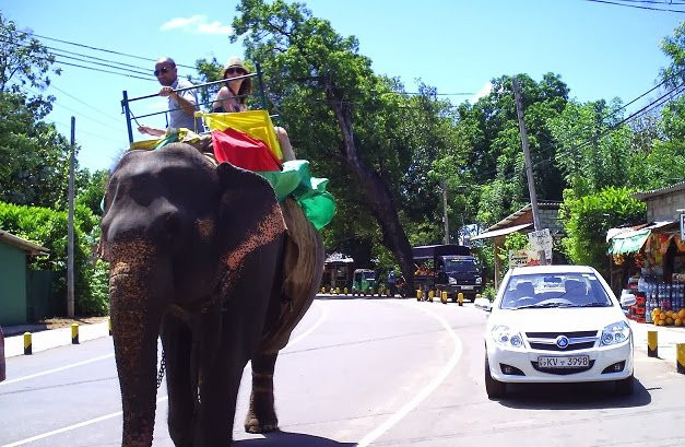 CMS Tours-科伦坡必去景点