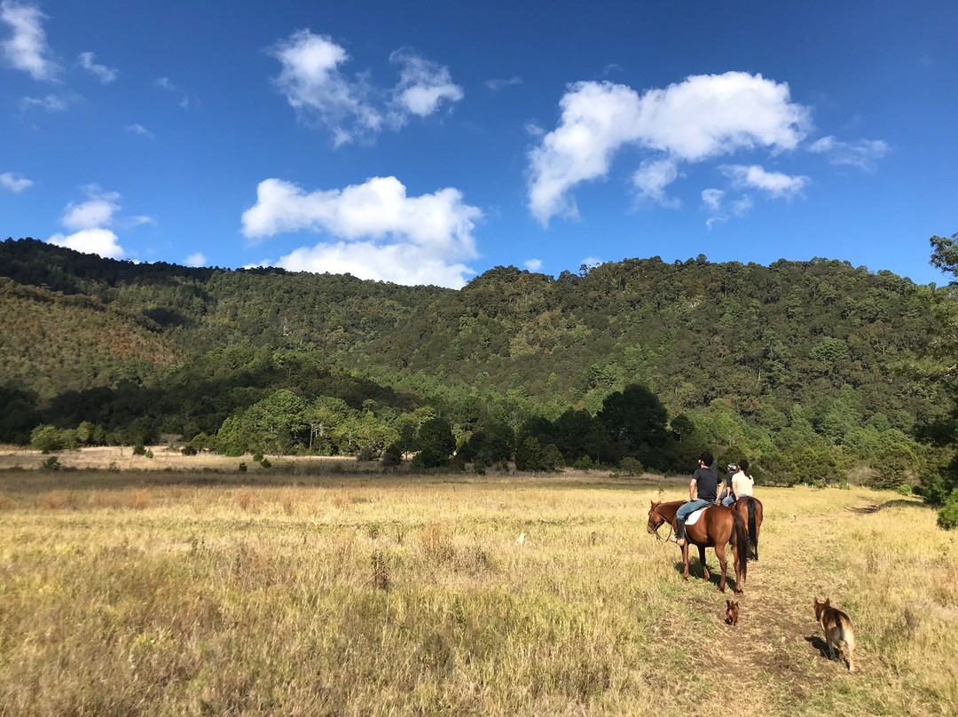 El Rancho Evergreen Guest Ranch-圣克里斯托瓦尔-德拉斯卡萨斯必去景点