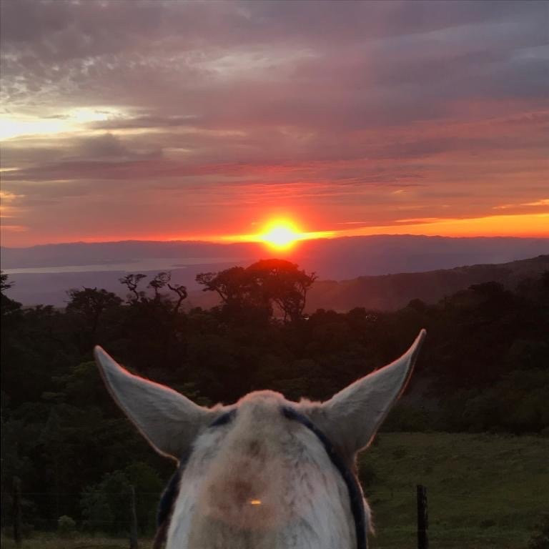 Martin Tours-蒙特沃德必去景点
