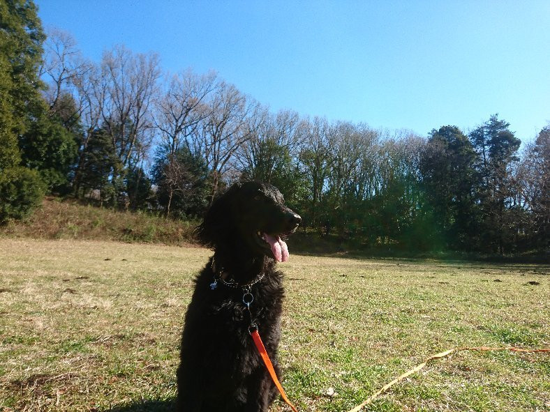 Machida City Nodatsu Park-町田市必去景点
