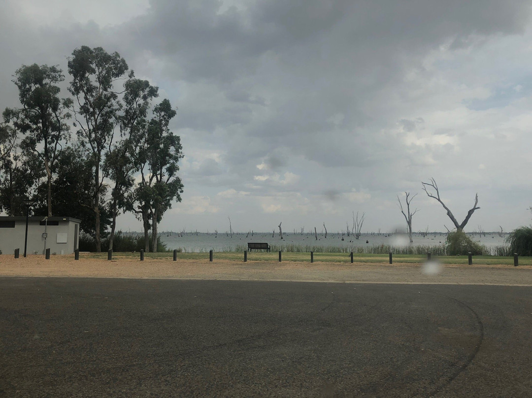 Owen Bridges Reserve-Mulwala必去景点