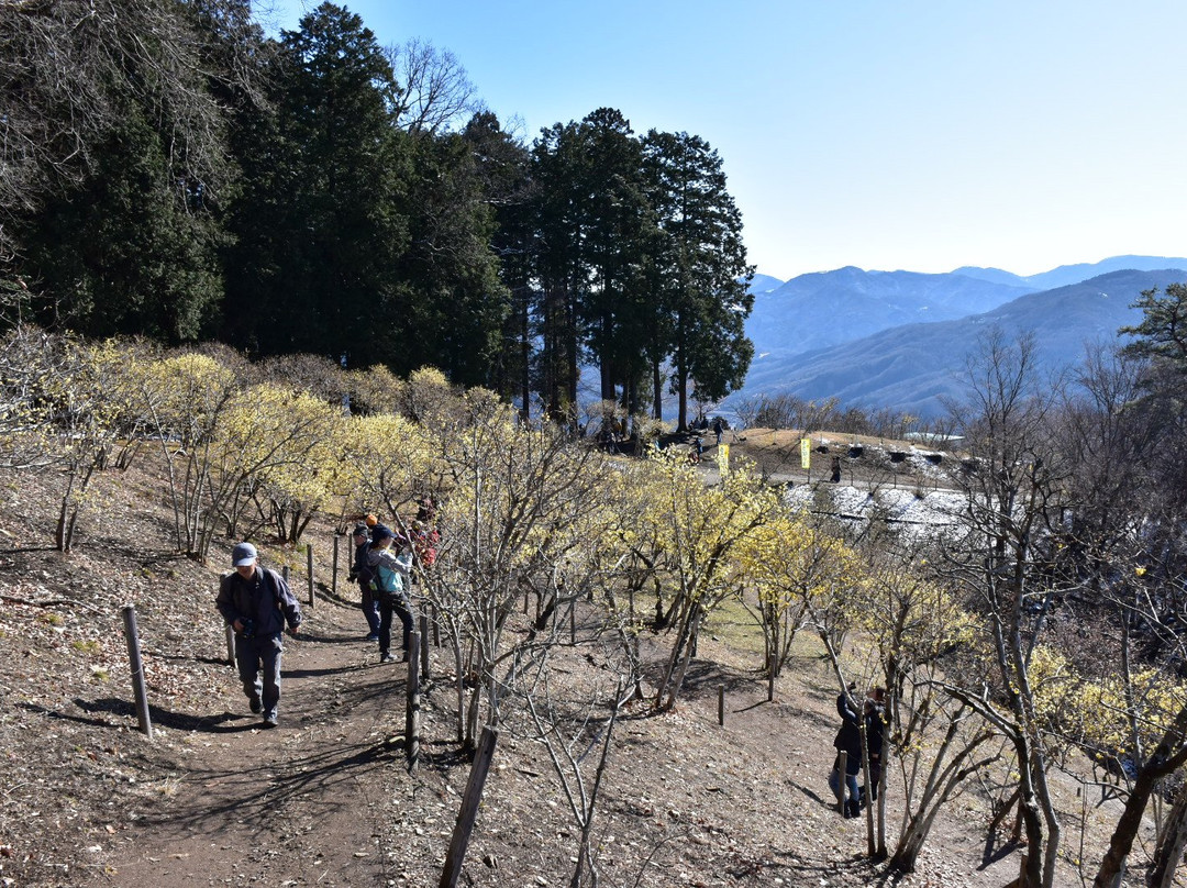 Hodosan Pulm Garden-长瀞町必去景点