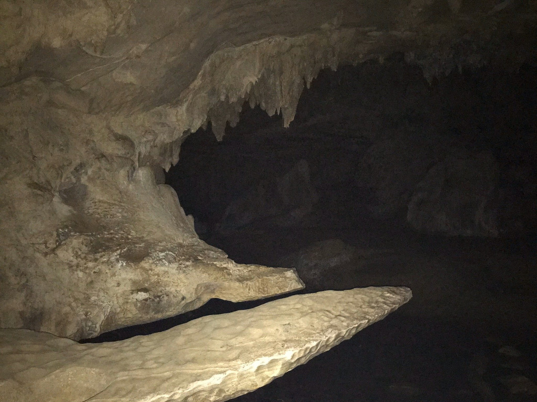 Waipu Caves Scenic Preserve景点图片
