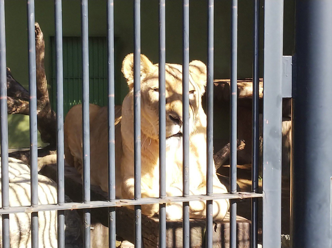 Wanpaku Kochi Animal Land-高知市必去景点