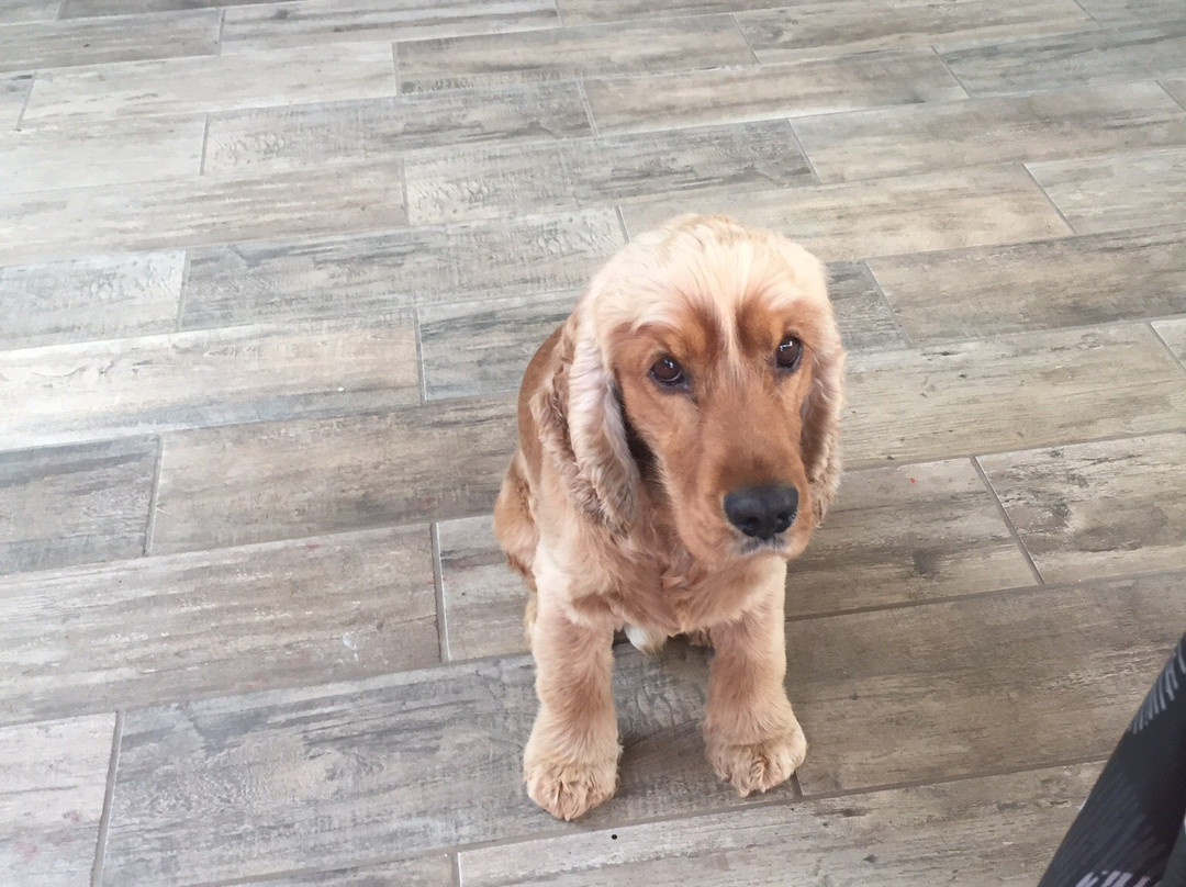 La Colina Pura Vista主图