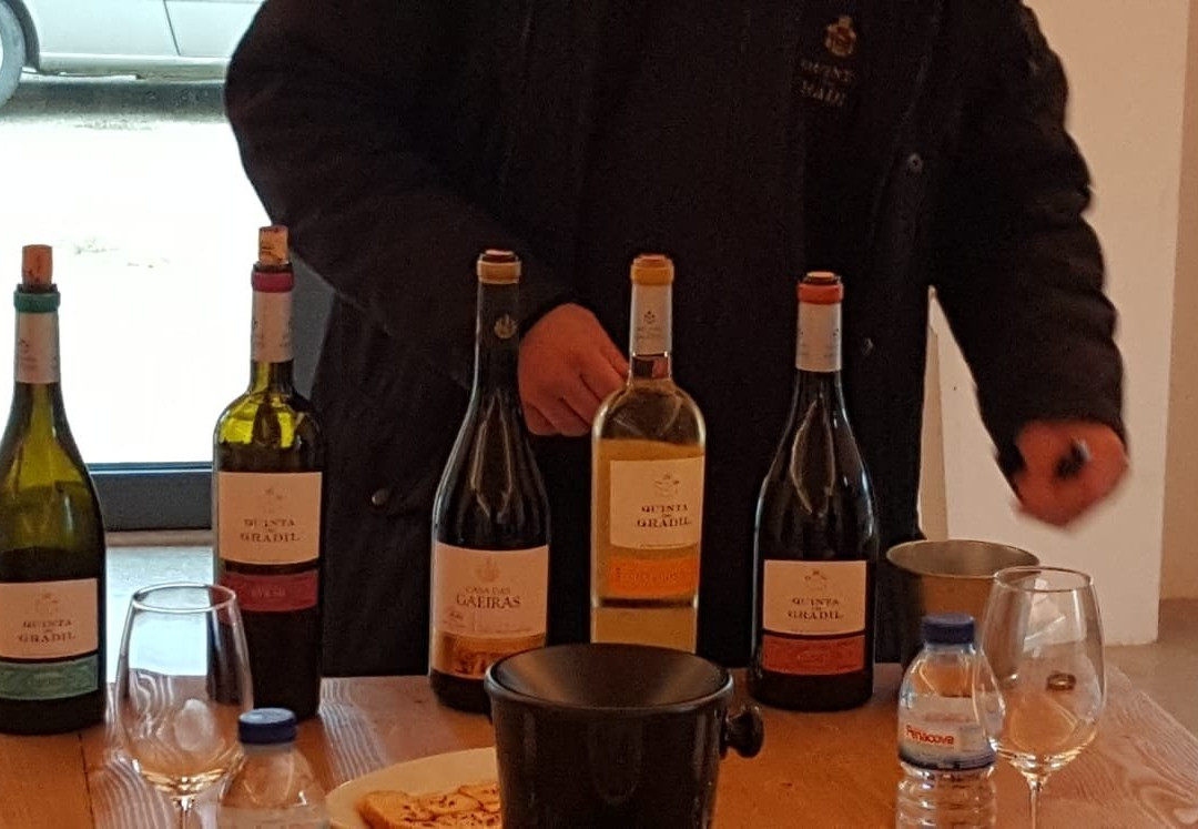 Quinta do Gradil Wine Tourism-Cadaval必去景点
