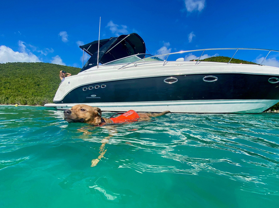 Sandy Paws Charters-Red Hook必去景点