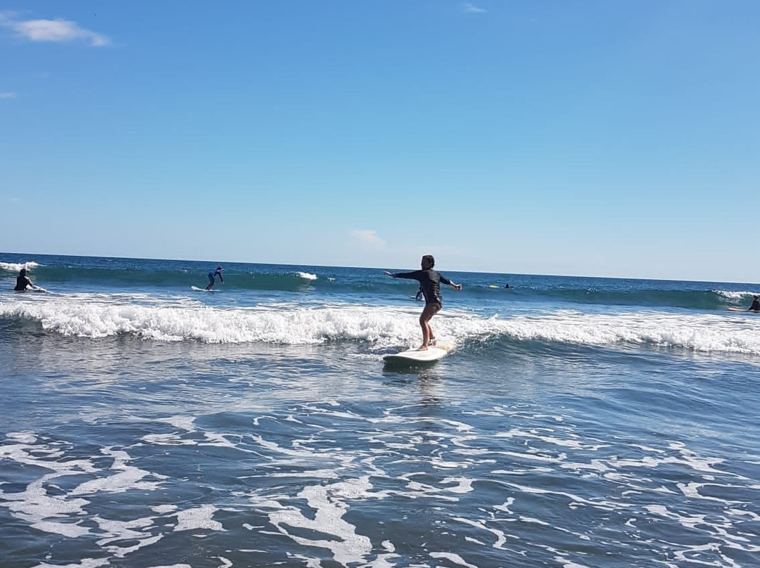 Young Vision Surf School景点图片