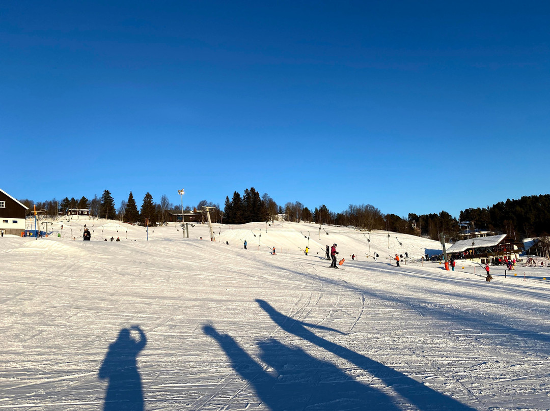Geilo Skiskole - Slaatta景点图片