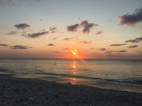 伊丽特女士岛度假村主图