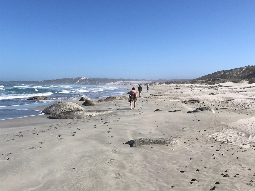 Abalone Guest House主图