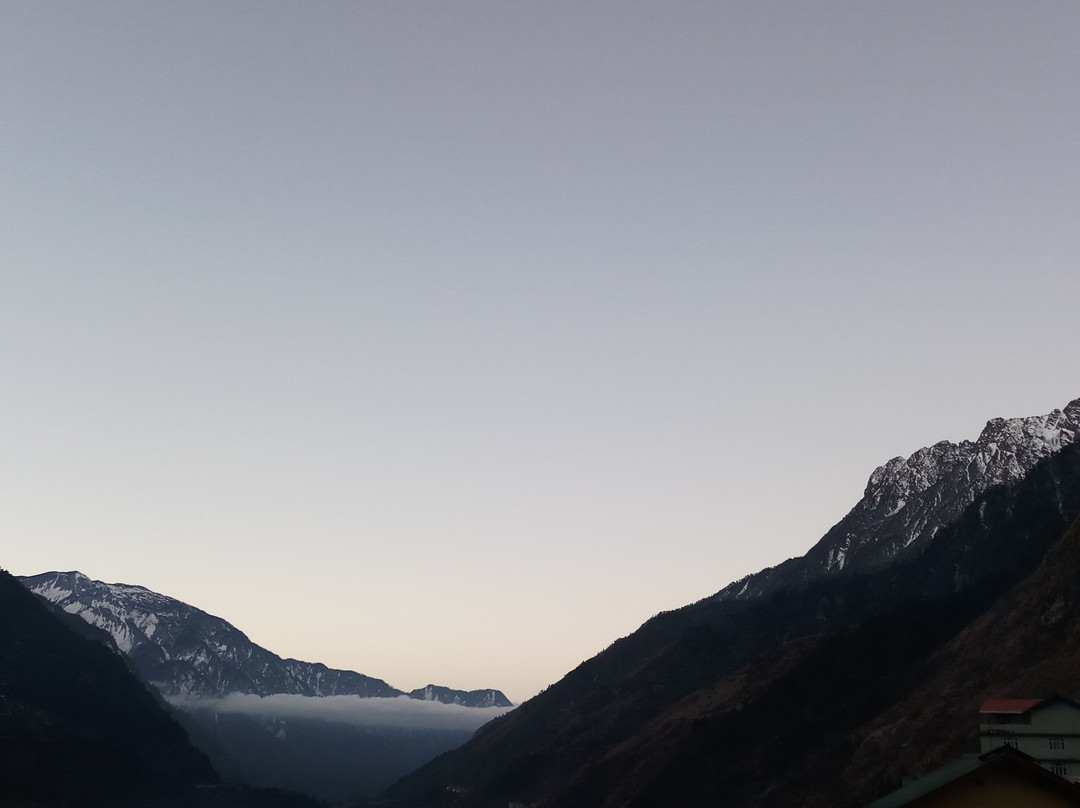 Delight Royal Lachung主图