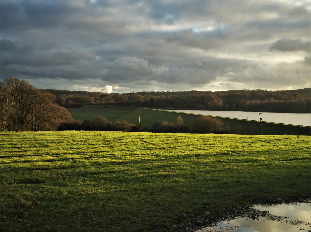 Darwell Reservoir景点图片