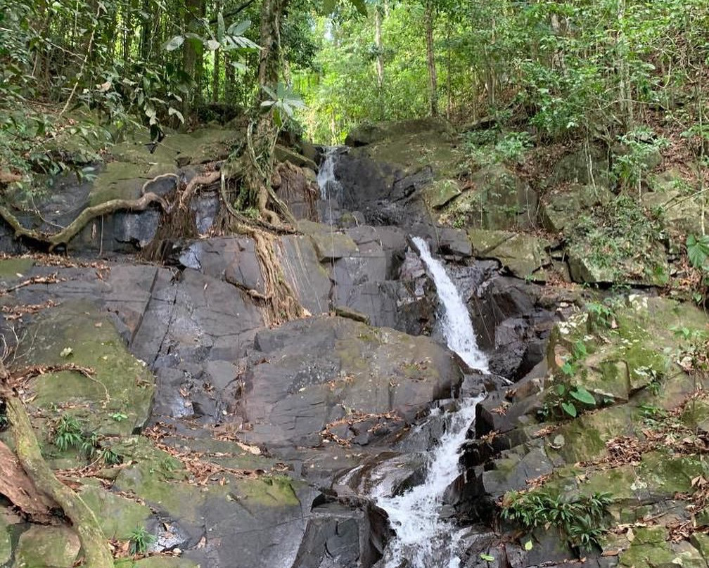 Jungle Xperience Suriname景点图片