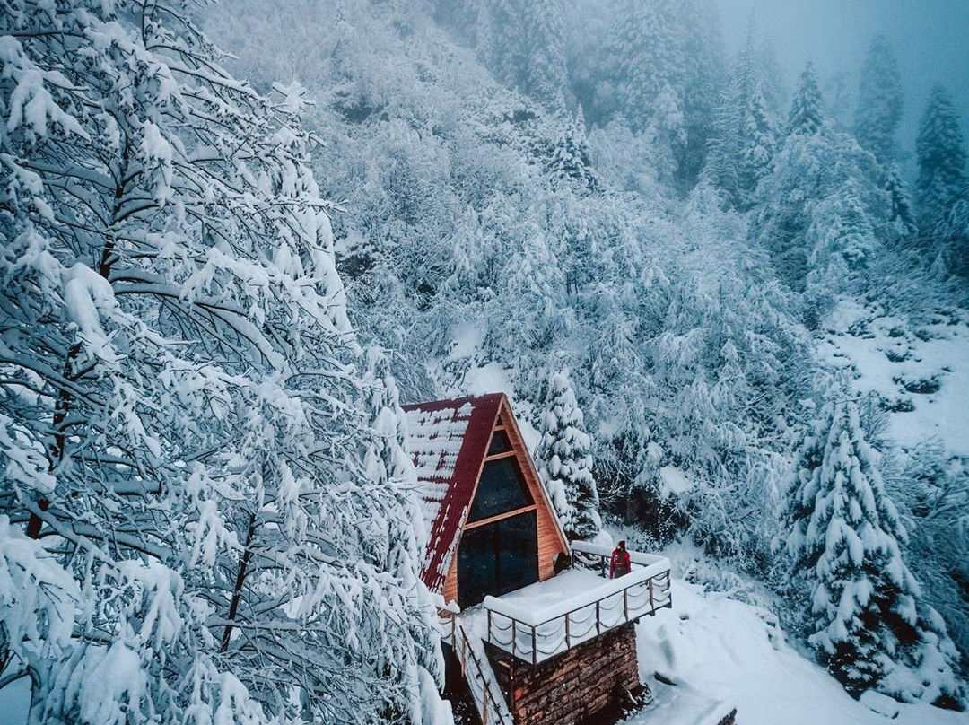 Ayder Yaylasi景点图片