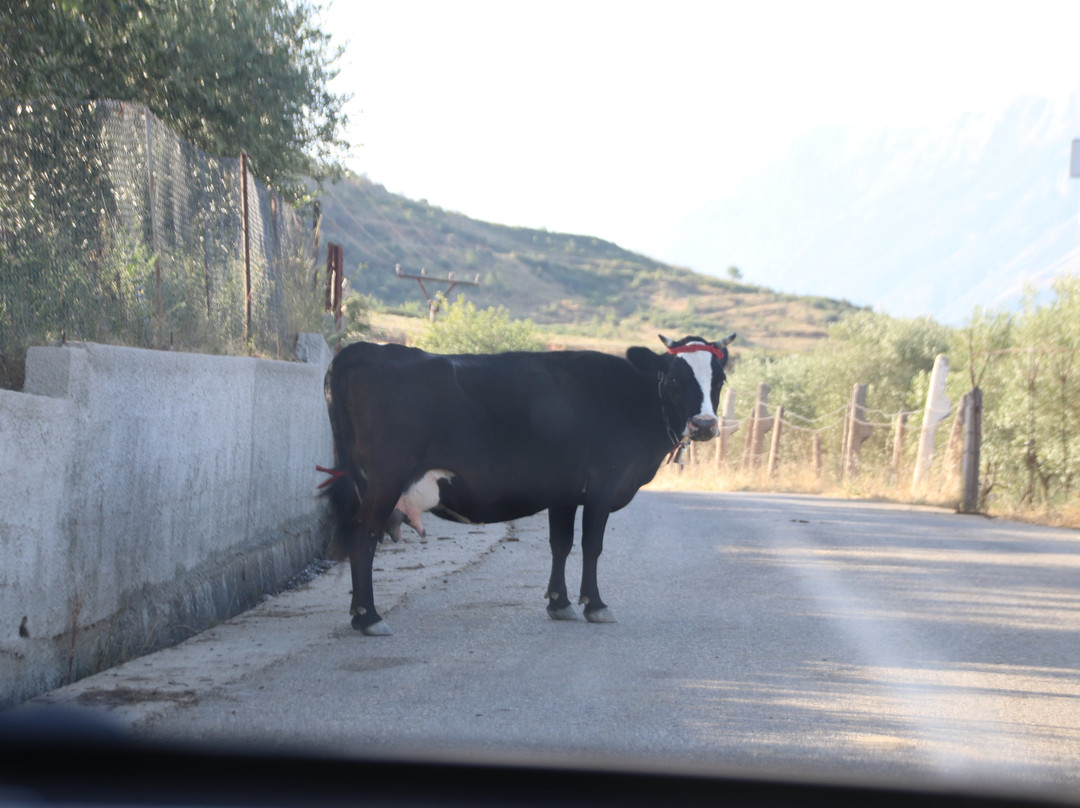 Antigonea Archaeological Park-吉诺卡斯特必去景点